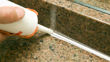 Imagen de Silicona Neutra Tranp. 300 Ml Rex Sellante Plastico-metal - transparente