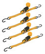 Imagen de Cinta Catraca Tolsen 25mmx5m  225-450dan 4 Unidades - Sc -