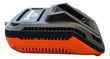 Imagen de Cargador 21v 2.4a Flex One Dowen Pagio 9998160 Original