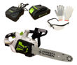 Imagen de Motosierra Electrosierra Forest & Garden 20v 12 C/batería